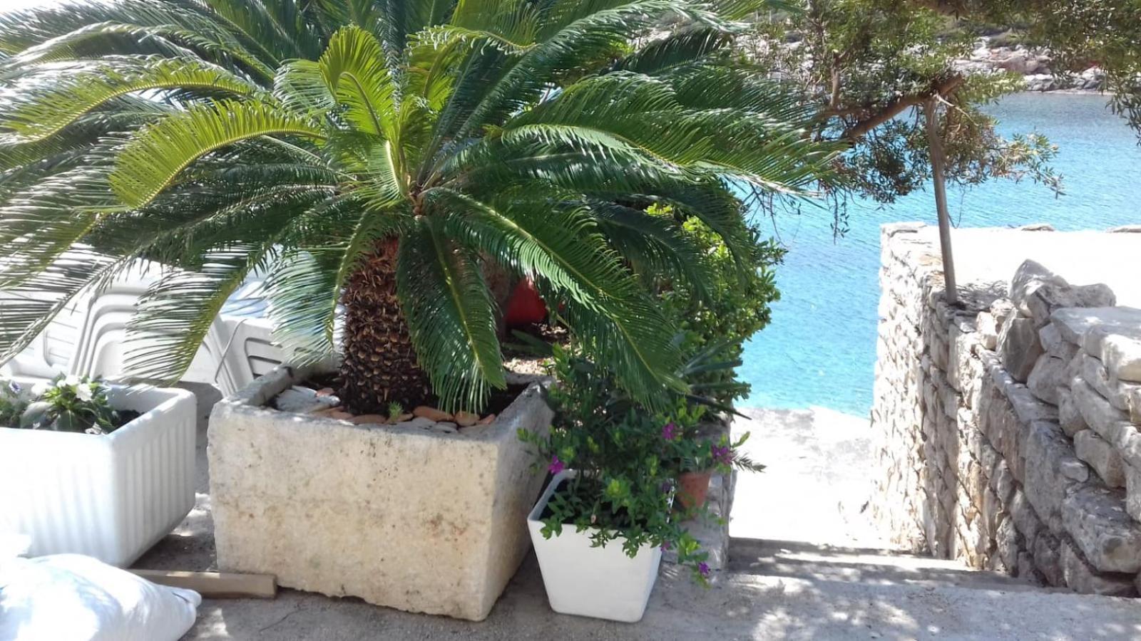Apartmani Paulo Vis Dış mekan fotoğraf