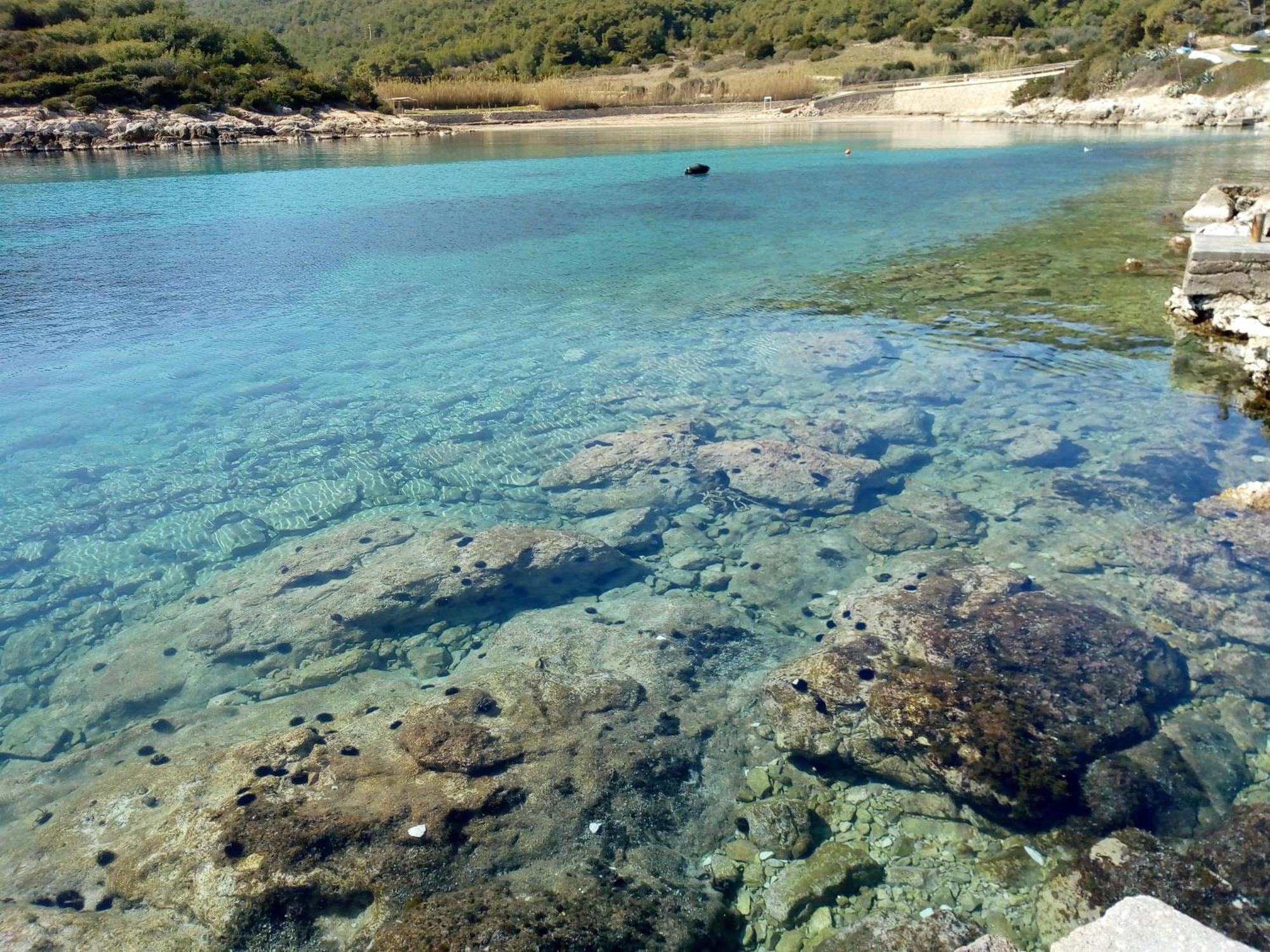 Apartmani Paulo Vis Dış mekan fotoğraf